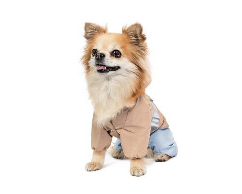 Дощовик для тварин Pet Fashion Tina S бежевий/блакитний (4823082435159)