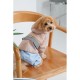 Дощовик для тварин Pet Fashion Tina S бежевий/блакитний (4823082435159)