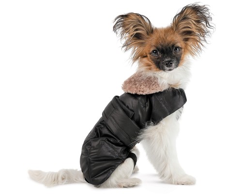 Попона для тварин Pet Fashion Ted XS2 чорно-сіра (4823082443178)