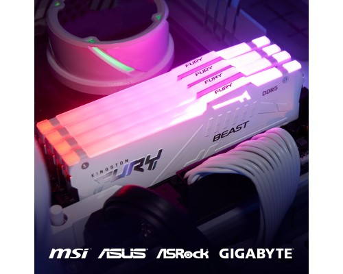 Модуль пам'яті для комп'ютера DDR5 16GB 6000 MHz Beast RGB EXPO White Kingston Fury (ex.HyperX) (KF560C36BWEA-16) Модуль пам'яті для комп'ютера DDR5 16GB 6000 MHz Beast RGB EXPO White Kingston Fury (ex.HyperX) (KF560C36BWEA-16)