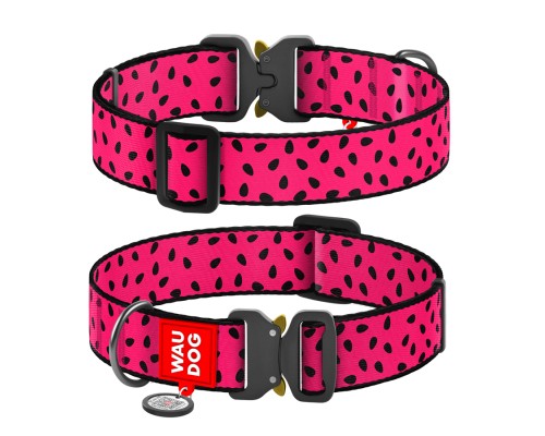Нашийник для тварин WAUDOG Nylon з QR паспортом 