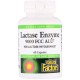 Вітамінно-мінеральний комплекс Natural Factors Ензим Лактази, Lactase Enzyme, 9000 FCC ALU, 60 Капсул (NFS-01740)