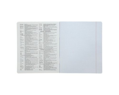 Зошит ZiBi предметний CUTE CAT, 36 аркушів, клітинка, історія (ZB.1731-11)