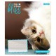 Зошит 1 вересня Bliss А5 12 аркушів клітинка (768051)