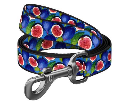 Повідець для собак WAUDOG Nylon 