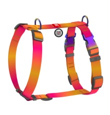 Шлея для собак WAUDOG Nylon Recycled анатомічна H-подібна з QR-паспортом, градієнт, S помаранчева (52864)