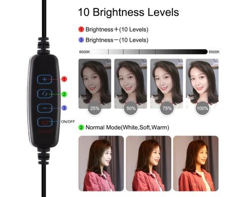 Набір блогера Puluz 4in1 (ring light, mount, phone holder, microphone) (PKT3025L)