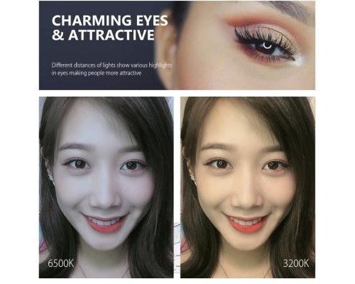 Набір блогера Puluz 4in1 (ring light, mount, phone holder, microphone) (PKT3025L)