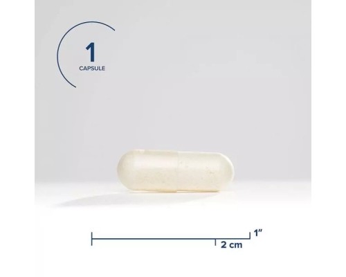 Пробіотики Seeking Health Пробіотики, 12 мільярдів КУО, ProBiota Bifido, 60 вегетаріанськ (SKH52102)