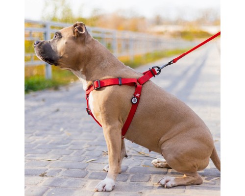 Шлея для собак WAUDOG Waterproof з QR-паспортом М Ш 20 мм Д 50-80 см червона (27653)