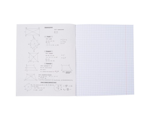 Зошит Kite предметний Cat 48 аркушів, клітинка, геометрія (K23-240-19)