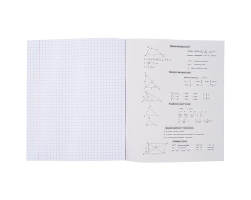 Зошит Kite предметний Cat 48 аркушів, клітинка, геометрія (K23-240-19)