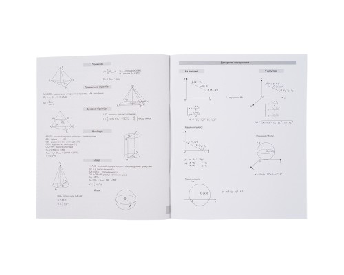 Зошит Kite предметний Cat 48 аркушів, клітинка, геометрія (K23-240-19)