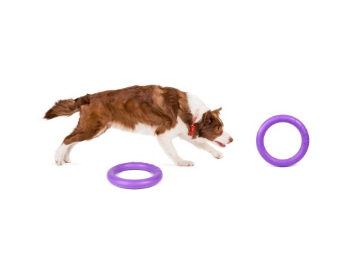 Іграшка для собак Puller Midi 20 см 2шт (6488)