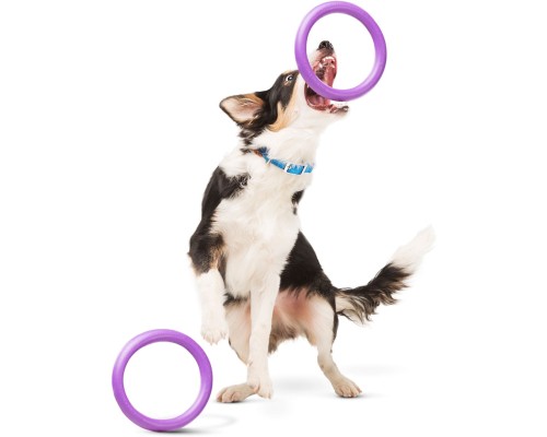 Іграшка для собак Puller Midi 20 см 2шт (6488)