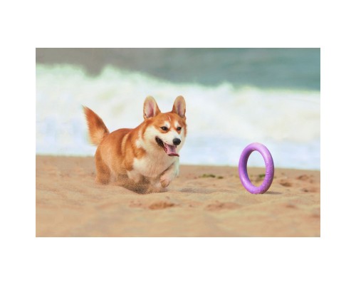 Іграшка для собак Puller Midi 20 см 2шт (6488)