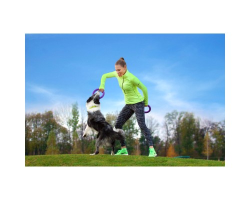 Іграшка для собак Puller Midi 20 см 2шт (6488)