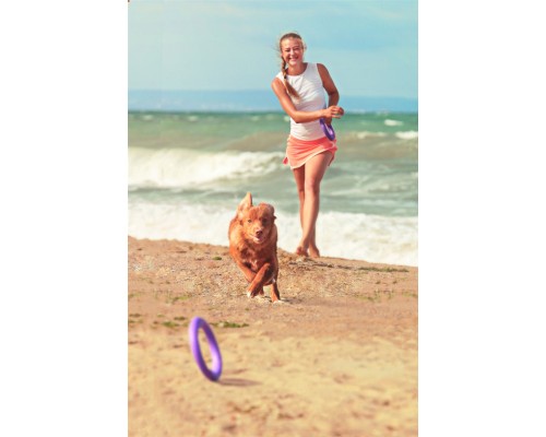 Іграшка для собак Puller Midi 20 см 2шт (6488)