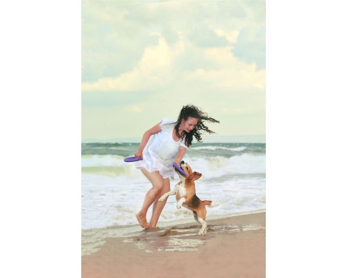 Іграшка для собак Puller Midi 20 см 2шт (6488)