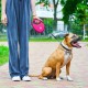 Повідок для собак WAUDOG R-leash з контейнером для пакетів S до 12 кг 3 м рожевий (26277)