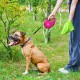 Повідок для собак WAUDOG R-leash з контейнером для пакетів S до 12 кг 3 м рожевий (26277)