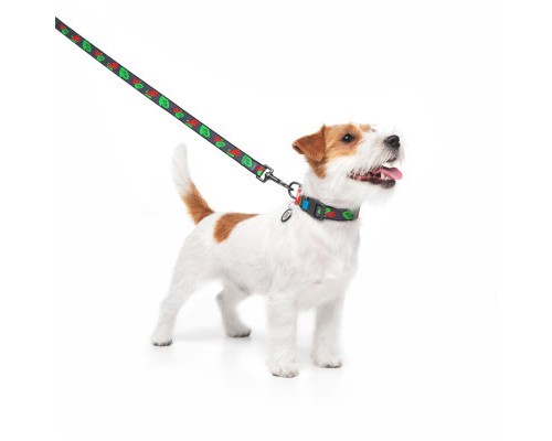 Нашийник для тварин WAUDOG Nylon з QR паспортом 