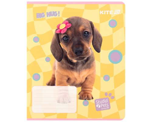 Зошит Kite Studio Pets, 12 аркушів, клітинка (SP25-232)
