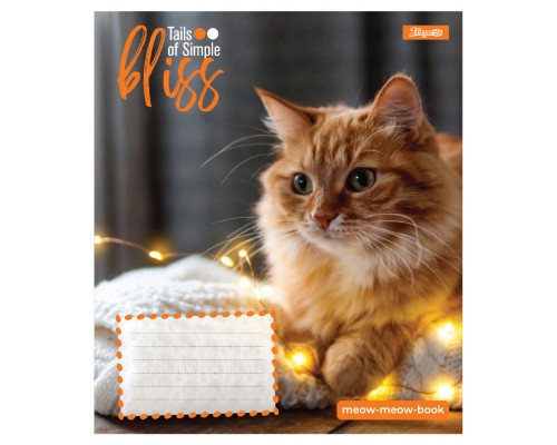 Зошит 1 вересня Bliss А5 12 аркушів лінія (768052)