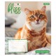 Зошит 1 вересня Bliss А5 12 аркушів лінія (768052)