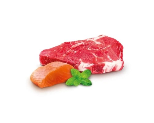 Сухий корм для кішок Home Food With sensitive digestion з ягням та лососем 1.6 кг (4820235020224)