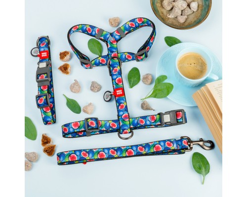 Повідець для собак WAUDOG Nylon 