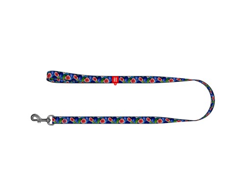 Повідець для собак WAUDOG Nylon 