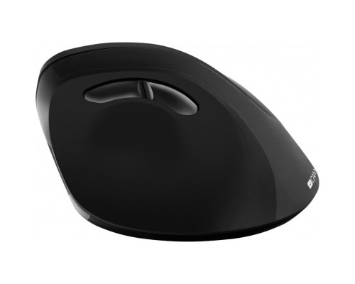 Мишка Canyon CNS-CMSW16B Wireless Black (CNS-CMSW16B)