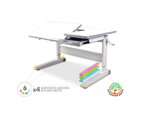 Парта Mealux RichWood Multicolor W (BD-840 W/MC)
