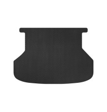 Килимок в багажник EVAtech Lexus RX 300 (2 clips) 2003-2009 2 покол (LS31940B1RBB)