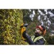 Кущоріз DeWALT 18 В, 5Ah, довжина ножа 55 см, діаметр гілок 25 мм (DCMHT563P1)