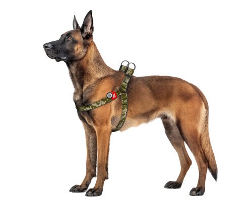 Шлея для собак WAUDOG Nylon з QR паспортом 