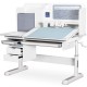 Парта Mealux Winnipeg Multicolor Plus WG Grey (BD-630 WG з тумбою)