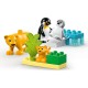 Конструктор LEGO DUPLO Town Сімейства диких тварин: Пінгвіни та Леви (10442)
