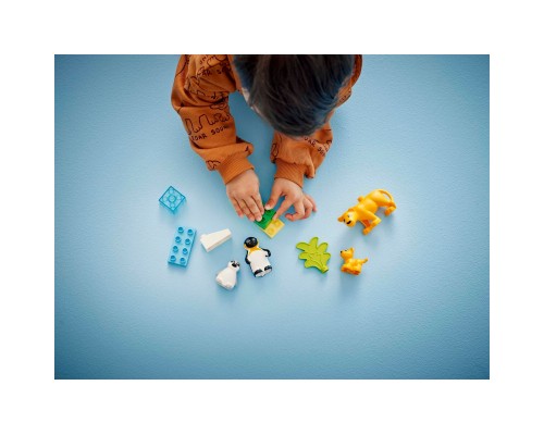 Конструктор LEGO DUPLO Town Сімейства диких тварин: Пінгвіни та Леви (10442)
