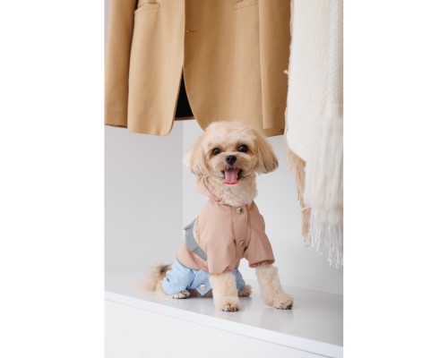 Дощовик для тварин Pet Fashion Tina ХS бежевий/блакитний (4823082435135)