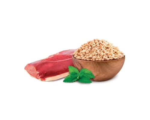 Сухий корм для собак Home Food ADULT MEDIUM/MAXI Grain-free hypoallergenic з качкою та нутом 1.6 кг (4820235021351)