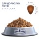 Сухий корм для кішок Club 4 Paws Преміум. З лососем 14 кг (4820083909238)