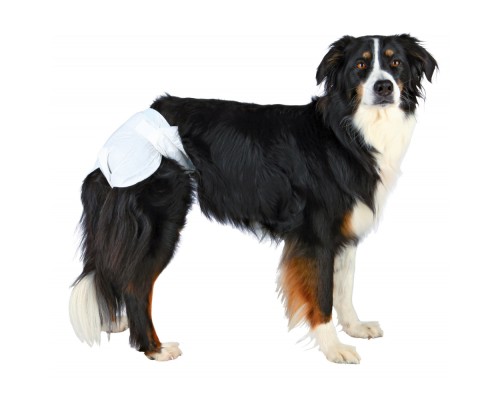 Підгузки для тварин Trixie для собак (сучок) S-M 28-40 см 12 шт (4011905236322)