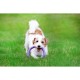 Іграшка для собак Puller Mini 18 см (6491) 
