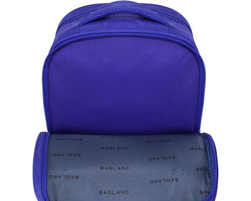 Рюкзак шкільний Bagland Відмінник 20 л. 225 синій 534 (0058070) (41828189)