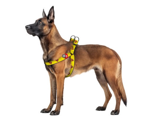 Шлея для собак WAUDOG Nylon з QR паспортом 