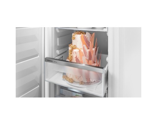 Холодильник Liebherr ICNF5103