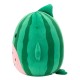 М'яка іграшка Squishmallows Кіт-кавун Крістофер 30 см (SQCR07967)