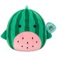 М'яка іграшка Squishmallows Кіт-кавун Крістофер 30 см (SQCR07967)
